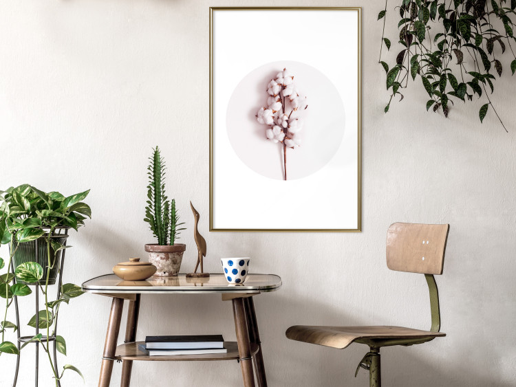 Poster Soft Cotton - plant with cotton in a circle against a light pink contrast 134504 additionalImage 7
