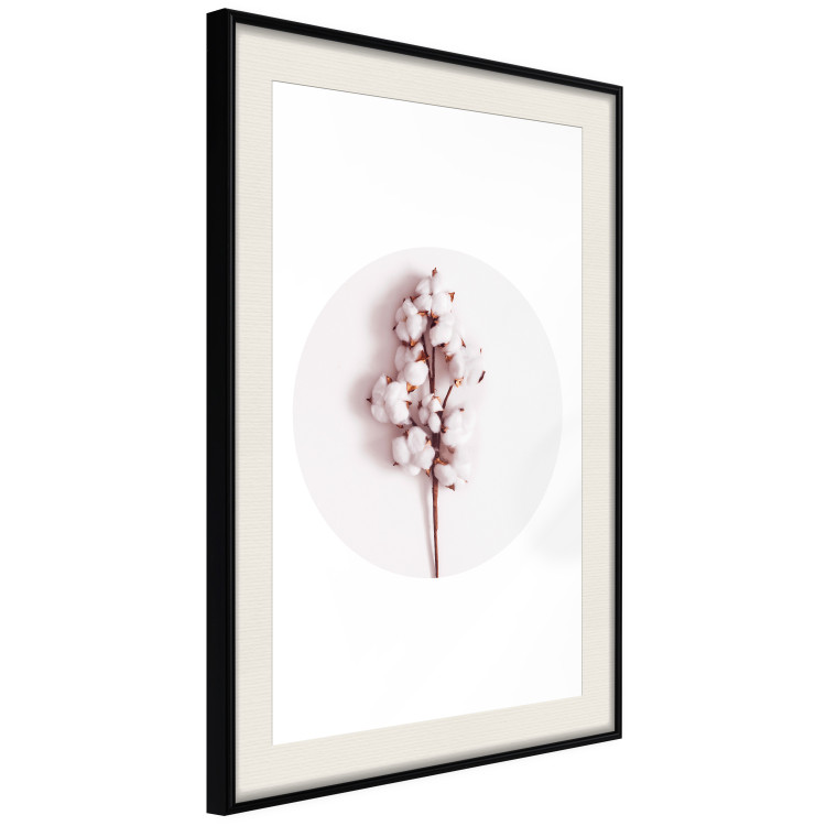 Poster Soft Cotton - plant with cotton in a circle against a light pink contrast 134504 additionalImage 2