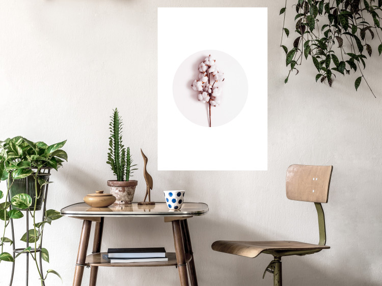 Poster Soft Cotton - plant with cotton in a circle against a light pink contrast 134504 additionalImage 5