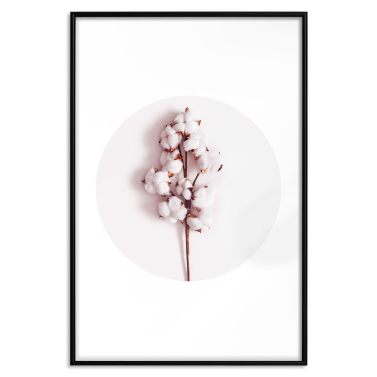 Poster Soft Cotton - plant with cotton in a circle against a light pink contrast 134504 additionalImage 18