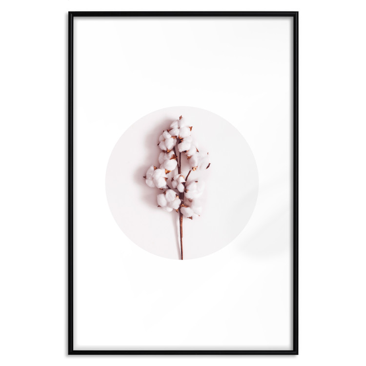 Poster Soft Cotton - plant with cotton in a circle against a light pink contrast 134504 additionalImage 27
