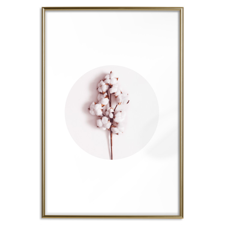 Poster Soft Cotton - plant with cotton in a circle against a light pink contrast 134504 additionalImage 26