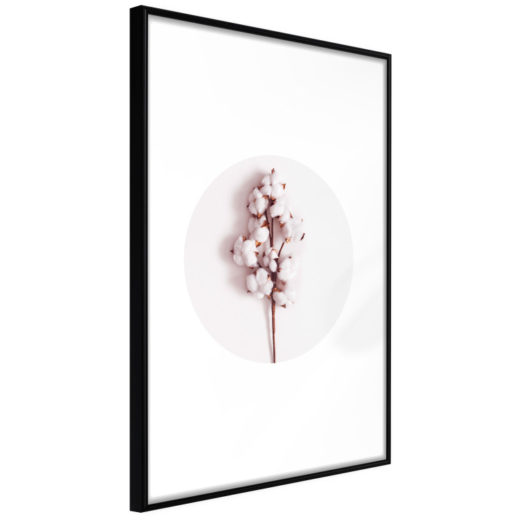 Poster Soft Cotton - plant with cotton in a circle against a light pink contrast 134504 additionalImage 8