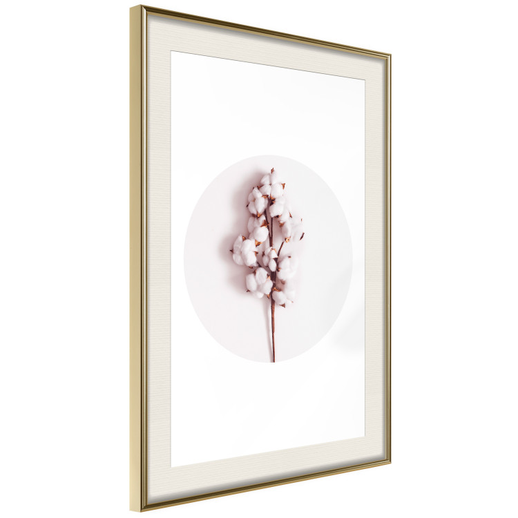 Poster Soft Cotton - plant with cotton in a circle against a light pink contrast 134504 additionalImage 3