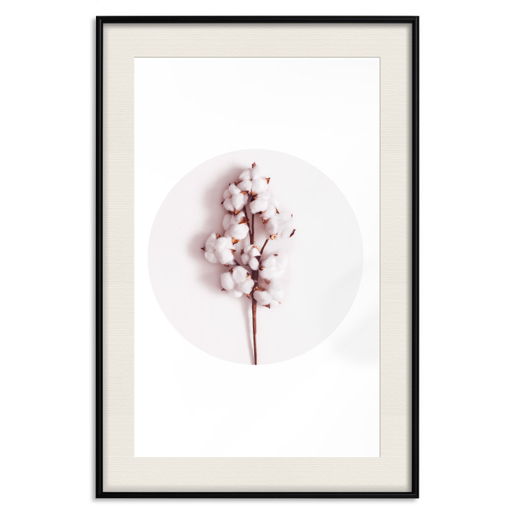 Poster Soft Cotton - plant with cotton in a circle against a light pink contrast 134504 additionalImage 24