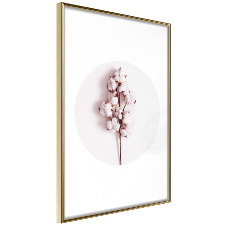 Poster Soft Cotton - plant with cotton in a circle against a light pink contrast 134504 additionalImage 14