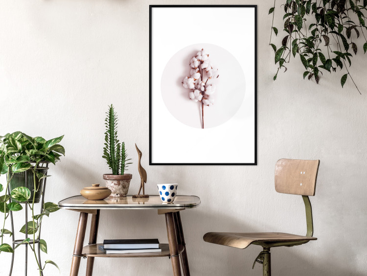 Poster Soft Cotton - plant with cotton in a circle against a light pink contrast 134504 additionalImage 4
