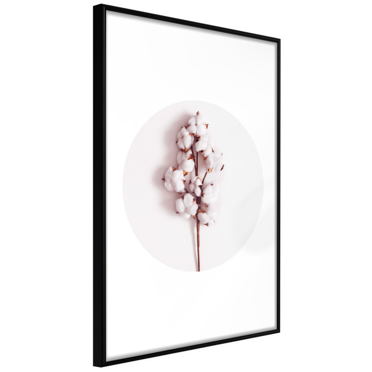Poster Soft Cotton - plant with cotton in a circle against a light pink contrast 134504 additionalImage 11
