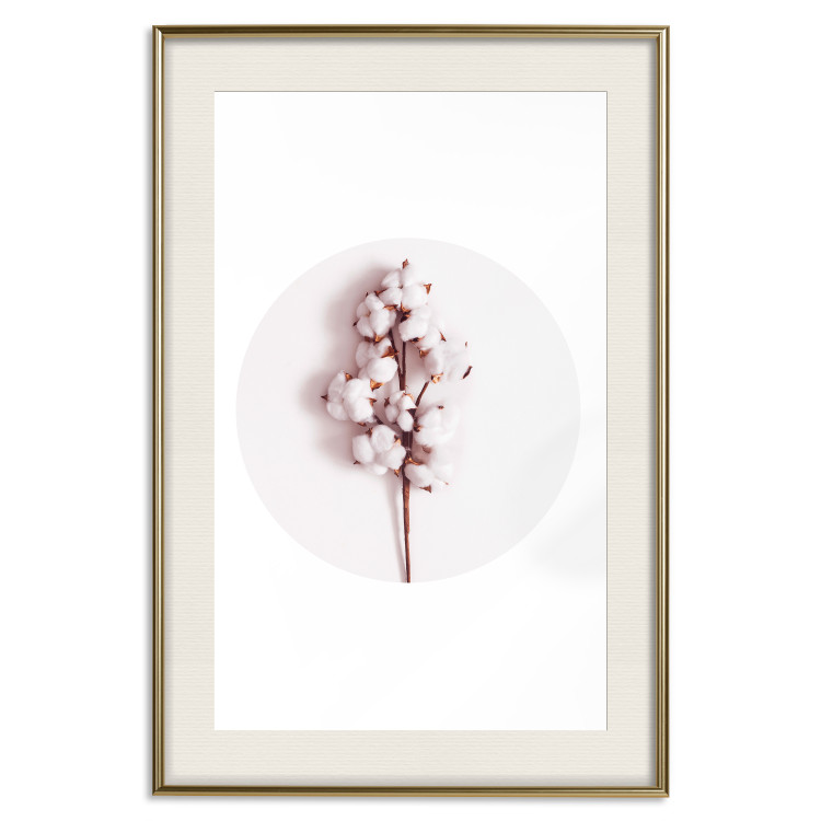 Poster Soft Cotton - plant with cotton in a circle against a light pink contrast 134504 additionalImage 23
