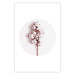 Poster Soft Cotton - plant with cotton in a circle against a light pink contrast 134504