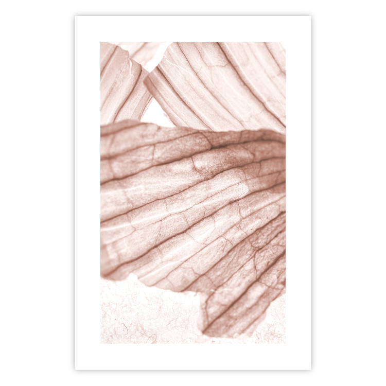 Poster Winged Light - abstract light wood texture 135304 additionalImage 20