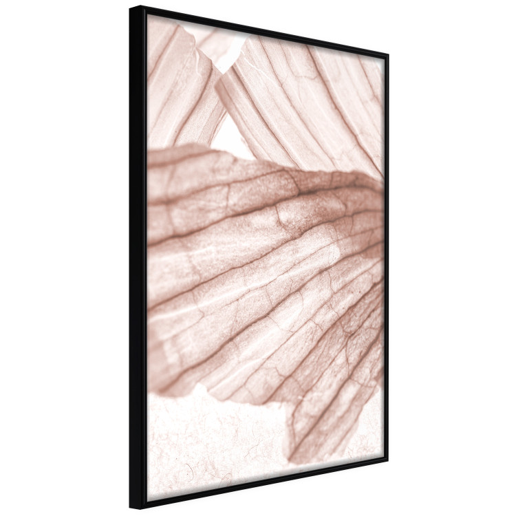 Poster Winged Light - abstract light wood texture 135304 additionalImage 13