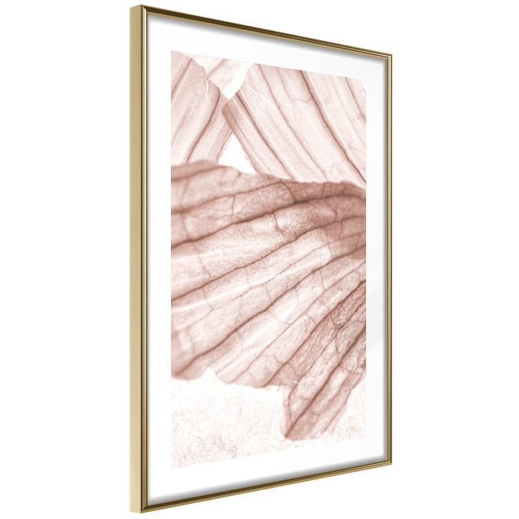 Poster Winged Light - abstract light wood texture 135304 additionalImage 10