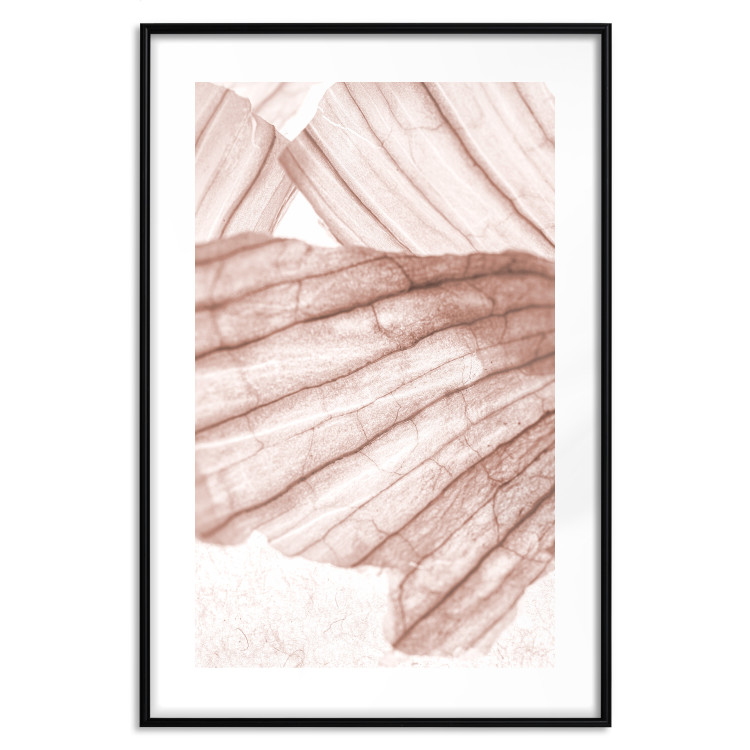 Poster Winged Light - abstract light wood texture 135304 additionalImage 18