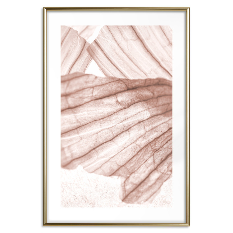 Poster Winged Light - abstract light wood texture 135304 additionalImage 17