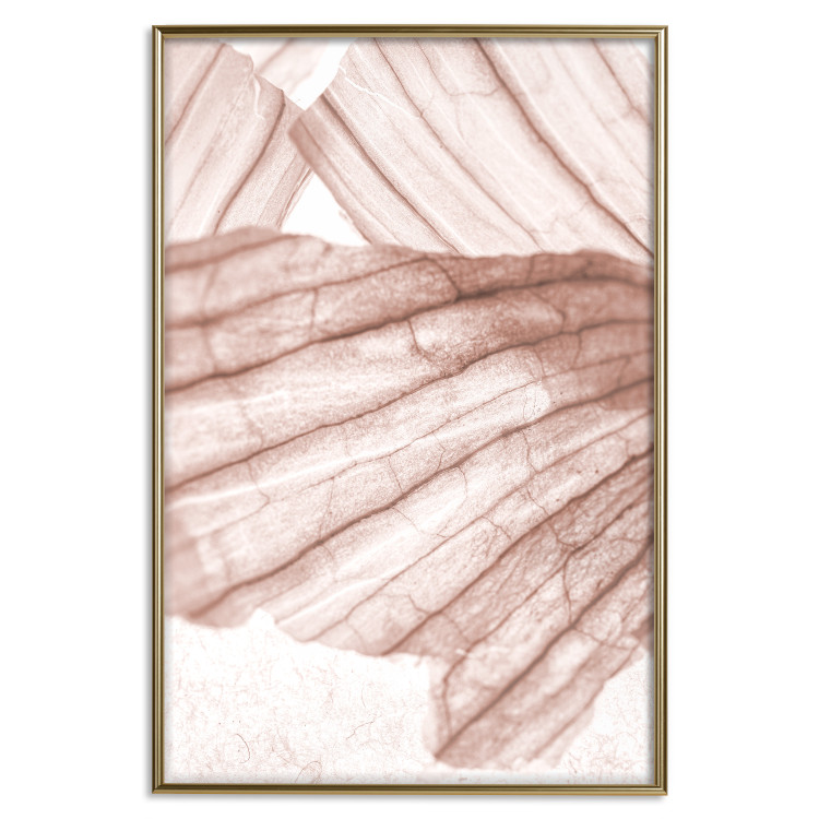 Poster Winged Light - abstract light wood texture 135304 additionalImage 19