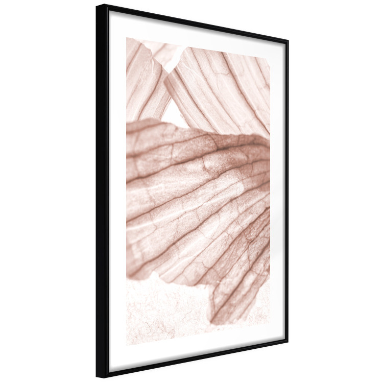 Poster Winged Light - abstract light wood texture 135304 additionalImage 12