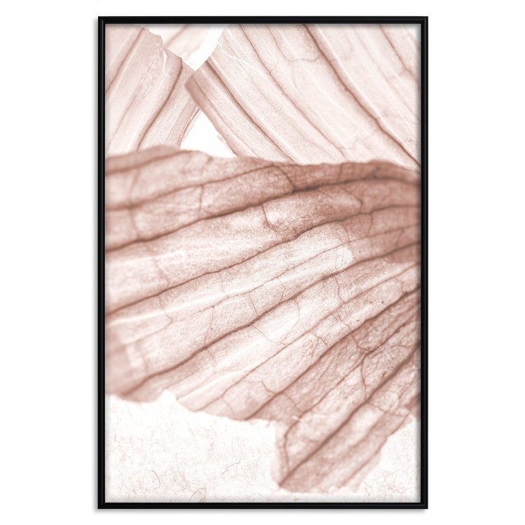Poster Winged Light - abstract light wood texture 135304 additionalImage 2