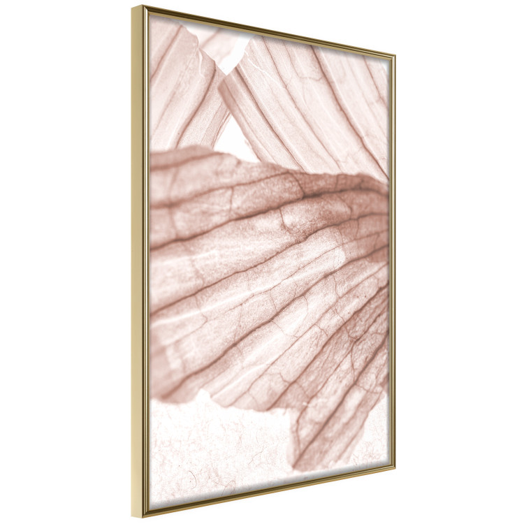 Poster Winged Light - abstract light wood texture 135304 additionalImage 11