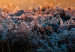 Large canvas print Wintertime II [Large Format] 137704 additionalThumb 4