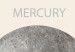 Canvas Mercury - The Smallest of the Planets of the Solar System in Graphic Terms 146304 additionalThumb 5