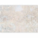 Wall Mural Picturesque Nature - Abstract Background in Light Beige Colors 148804 additionalThumb 5