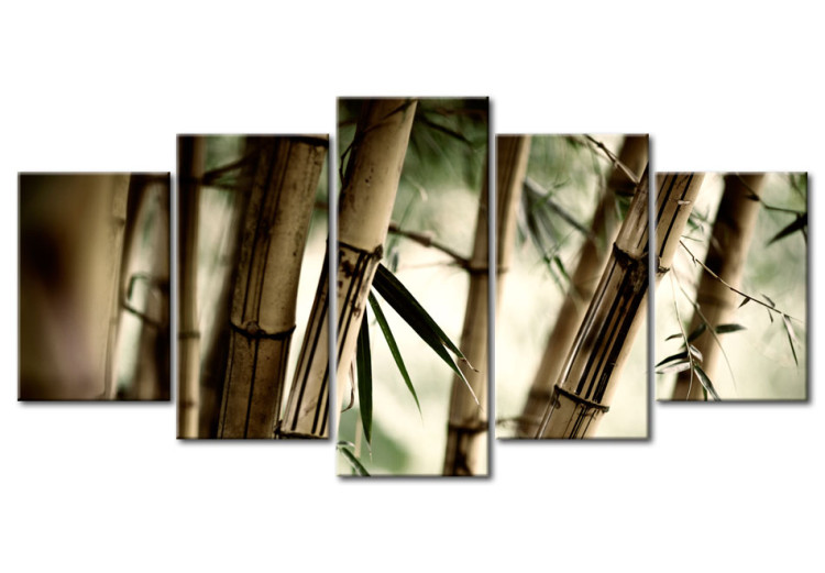 Canvas Print Asian bamboo forest 58604