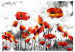 Wall Mural Condemnation - Red Poppy Flowers on a Black-and-White Background of Sky and Mist 60404 additionalThumb 1