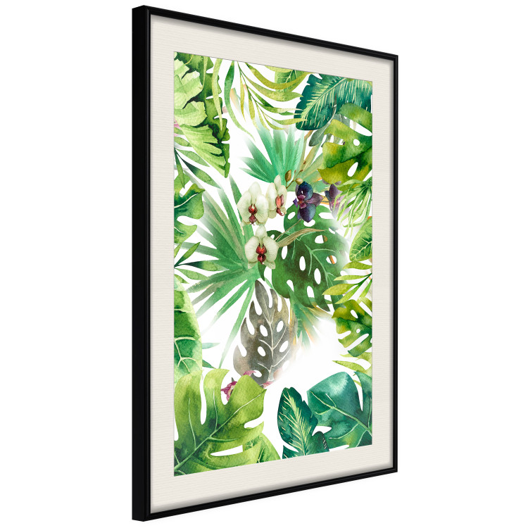 Wall Poster Tropical Shade - botanical composition with leaves of tropical plants 114314 additionalImage 3
