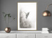 Poster Ethnic Hummingbird - abstraction with a bird in shades of gray 116314 additionalThumb 13