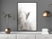 Poster Ethnic Hummingbird - abstraction with a bird in shades of gray 116314 additionalThumb 3