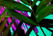 Poster Colorful Rustle - abstract plant motif with colorful leaves 122314 additionalThumb 8