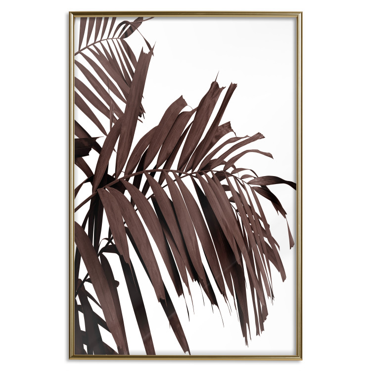 Poster Sunbathed - tropical brown palm leaves on white background 123514 additionalImage 16