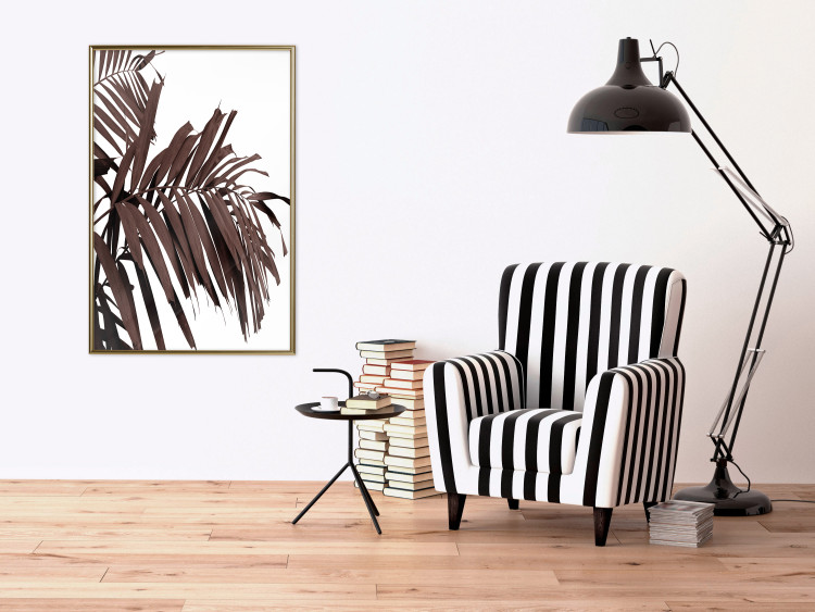 Poster Sunbathed - tropical brown palm leaves on white background 123514 additionalImage 5