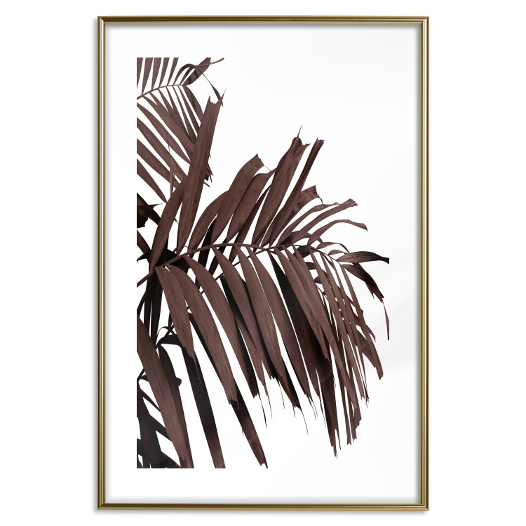Poster Sunbathed - tropical brown palm leaves on white background 123514 additionalImage 14
