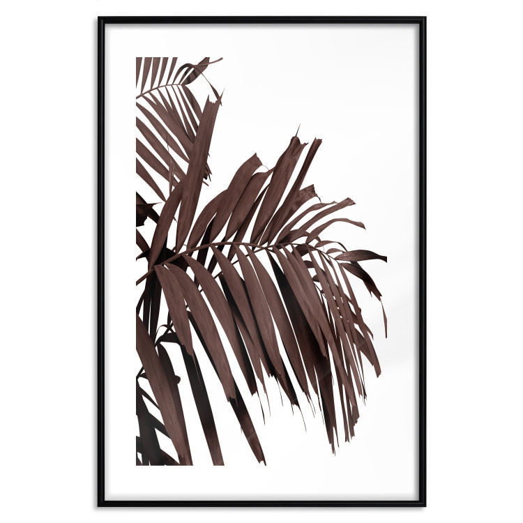 Poster Sunbathed - tropical brown palm leaves on white background 123514 additionalImage 15