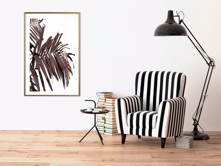 Poster Sunbathed - tropical brown palm leaves on white background 123514 additionalImage 13