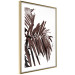 Poster Sunbathed - tropical brown palm leaves on white background 123514 additionalThumb 6