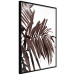 Poster Sunbathed - tropical brown palm leaves on white background 123514 additionalThumb 10