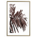 Poster Sunbathed - tropical brown palm leaves on white background 123514 additionalThumb 14