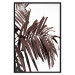 Poster Sunbathed - tropical brown palm leaves on white background 123514 additionalThumb 18