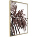 Poster Sunbathed - tropical brown palm leaves on white background 123514 additionalThumb 12