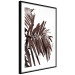 Poster Sunbathed - tropical brown palm leaves on white background 123514 additionalThumb 11