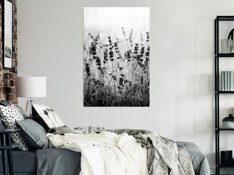 Poster Lavender in the Rain - plant flowers in a meadow in black and white motif 123814 additionalImage 17