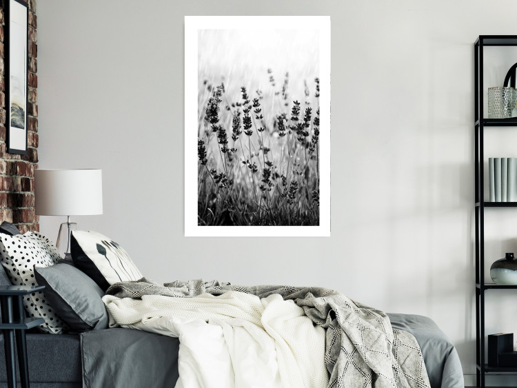 Poster Lavender in the Rain - plant flowers in a meadow in black and white motif 123814 additionalImage 2