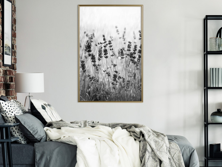 Poster Lavender in the Rain - plant flowers in a meadow in black and white motif 123814 additionalImage 5