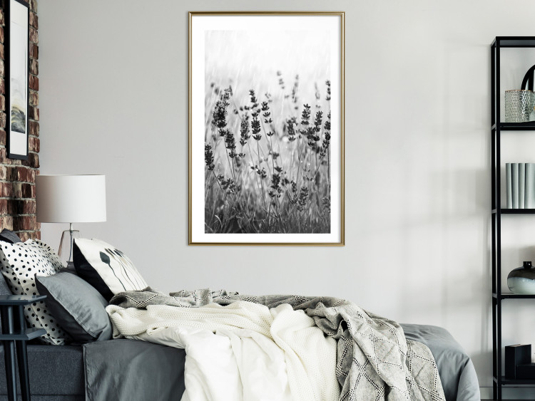 Poster Lavender in the Rain - plant flowers in a meadow in black and white motif 123814 additionalImage 13