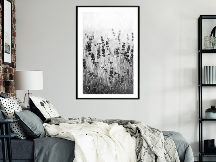 Poster Lavender in the Rain - plant flowers in a meadow in black and white motif 123814 additionalImage 4