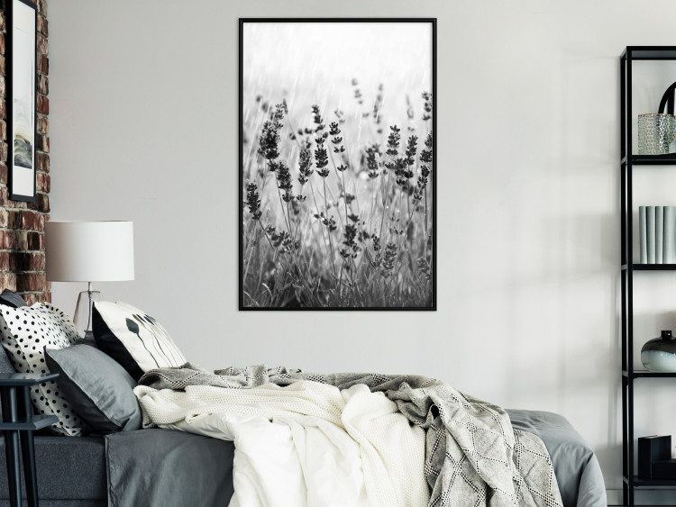 Poster Lavender in the Rain - plant flowers in a meadow in black and white motif 123814 additionalImage 3