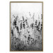 Poster Lavender in the Rain - plant flowers in a meadow in black and white motif 123814 additionalThumb 16